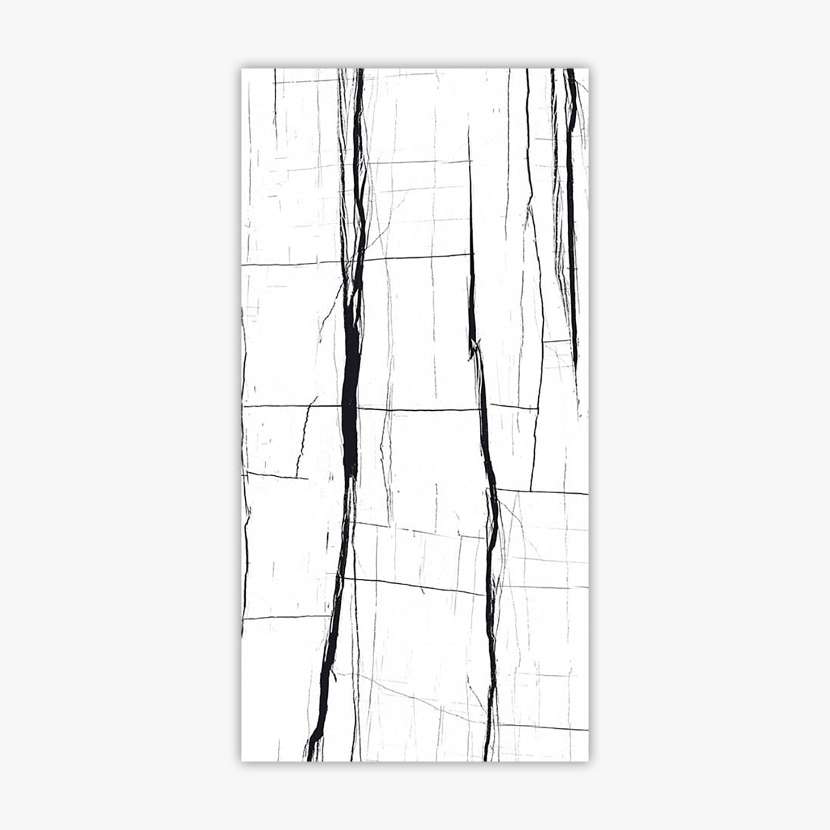 Noir White 24x48 Polished