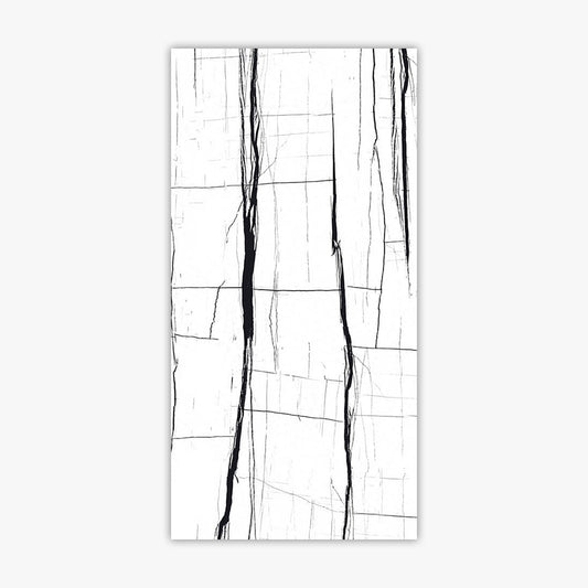 Noir White 24x48 Polished
