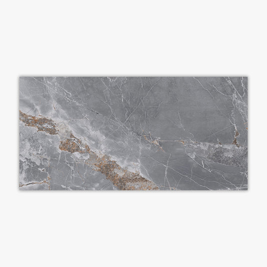 Metallo Grey Polished 24x48