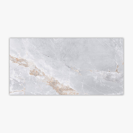 Metallo Light Gray Polished 24x48