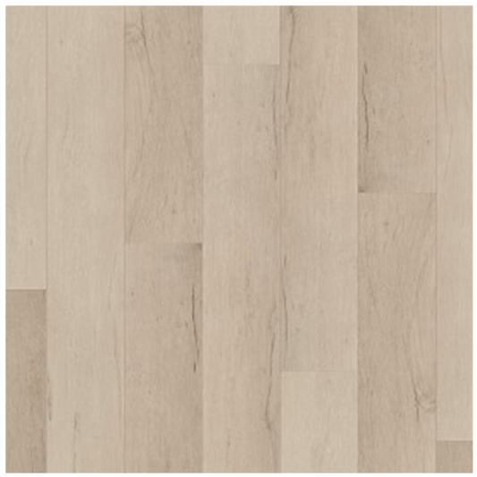 Emmons Oak