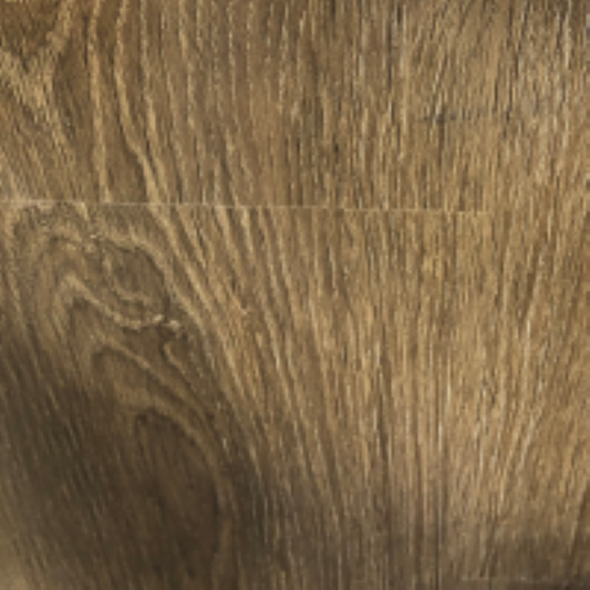 Raleigh Oak