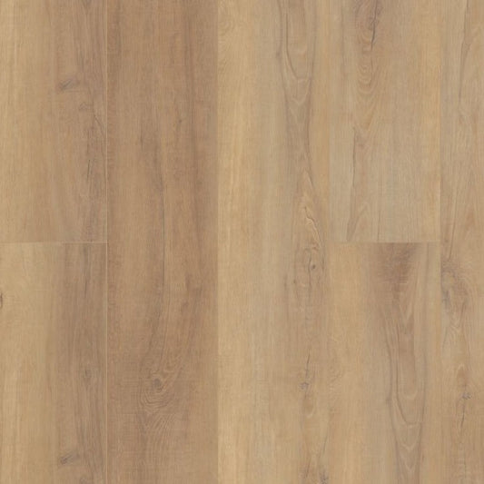 Canterbury Elm 9x72