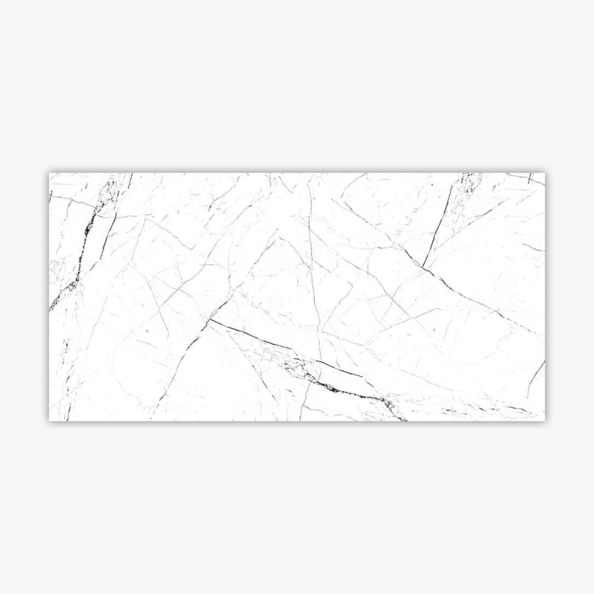 White Marble 12x24 Polished
